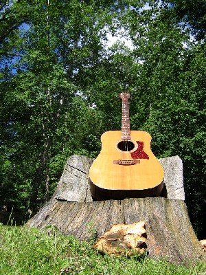 Singing Stump